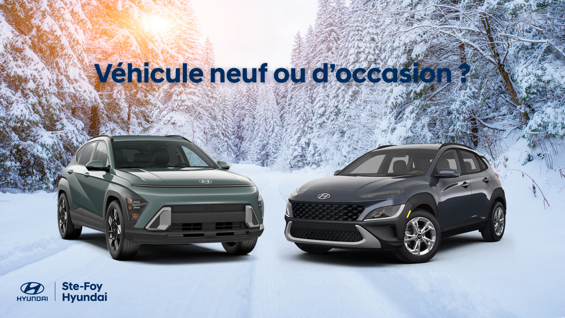 véhicule neuf ou d'occasion